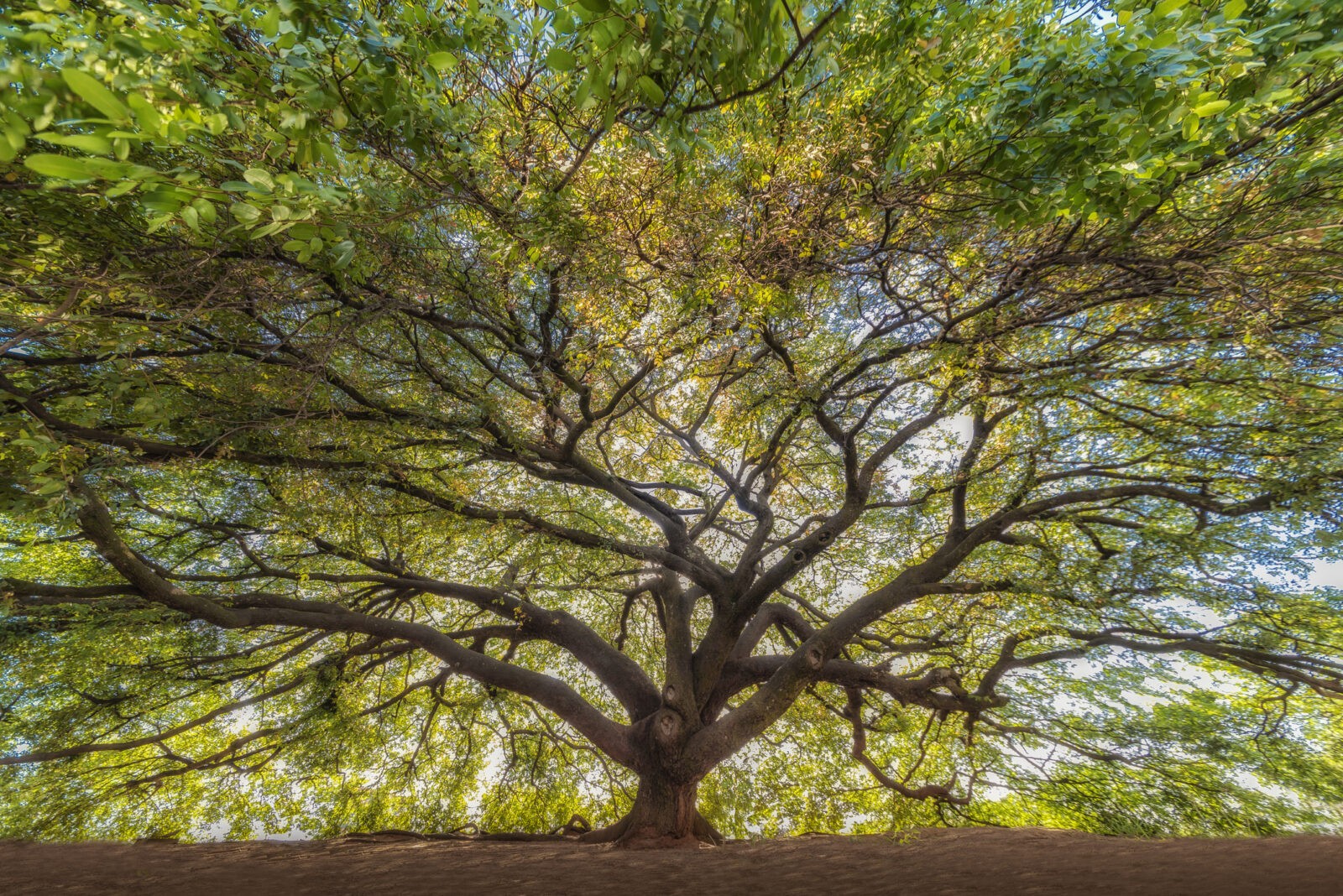 Psychic Development: How to Enhance Your Abilities