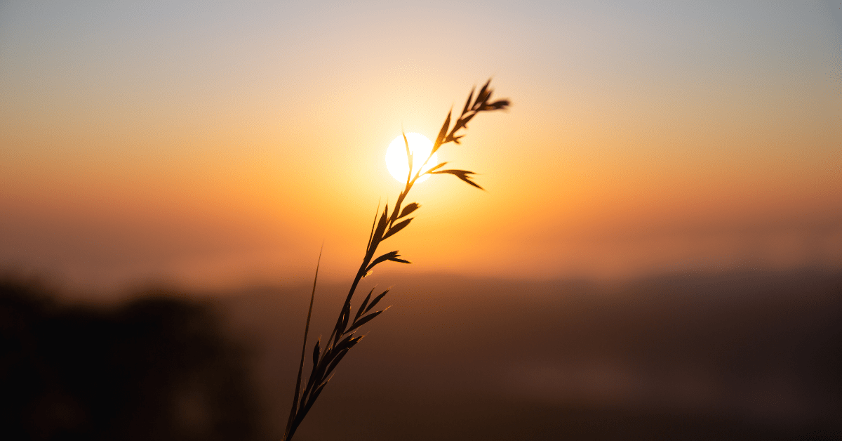 An Afternoon with Eckhart Tolle