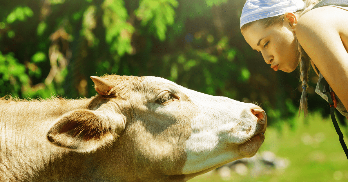 How to Distinguish Between the Highly Sensitive Person, Empath and Clairsentient?