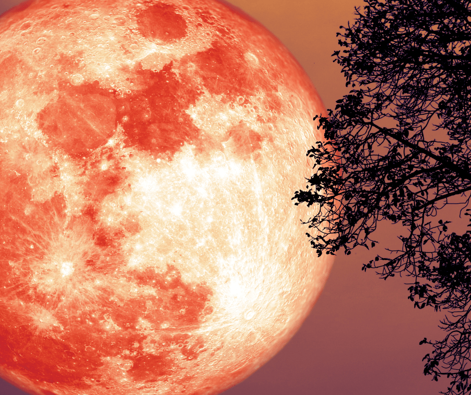 Sturgeon Moon Meaning The August Full Moon’s Significance & What It