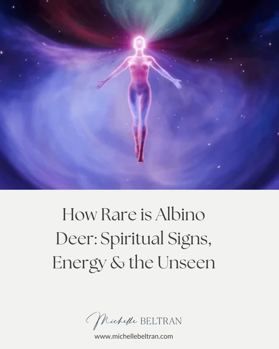 How Rare is Albino Deer: Spiritual Signs, Energy & the Unseen