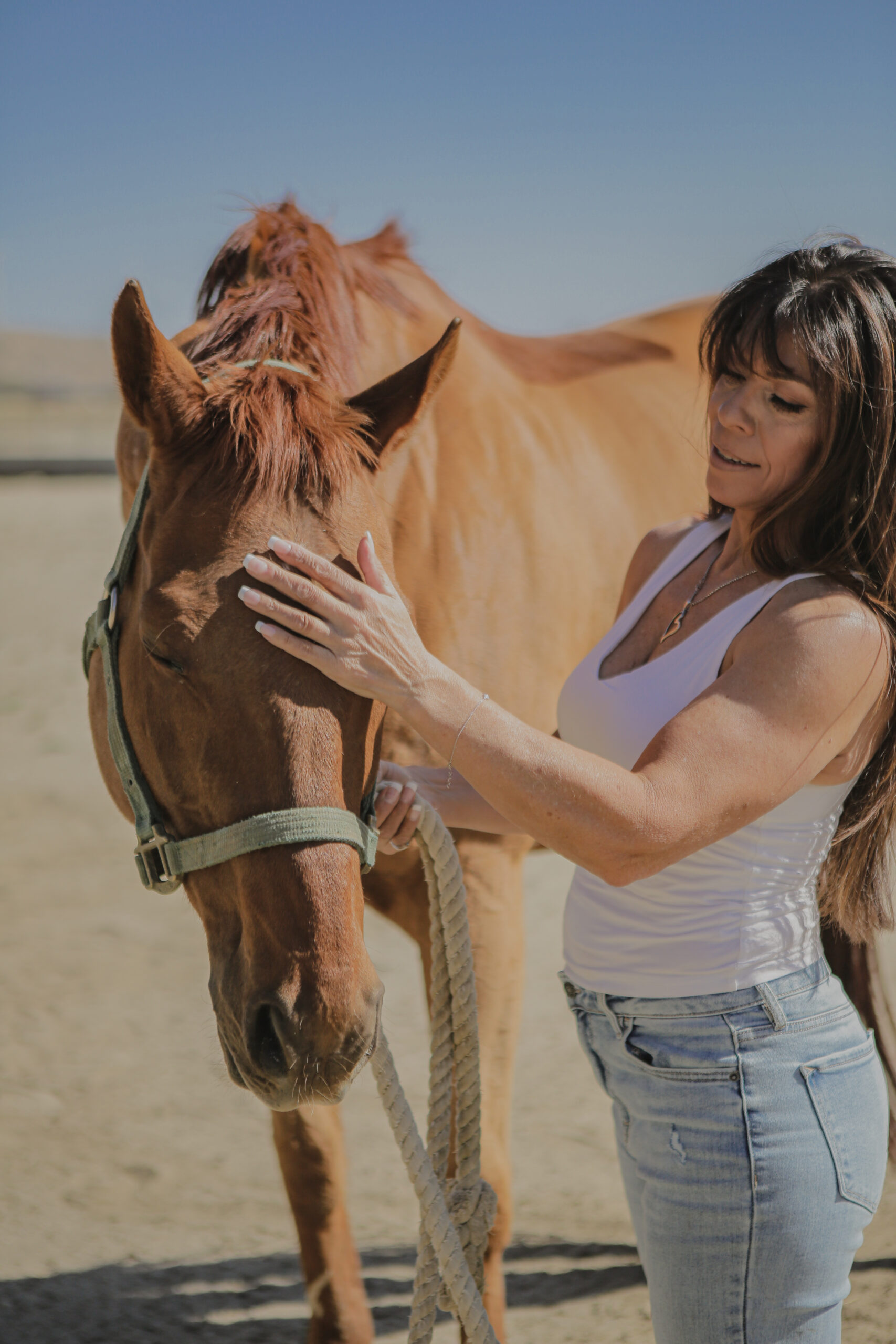 Listening Beyond Words: What Animals Teach Us About Connection